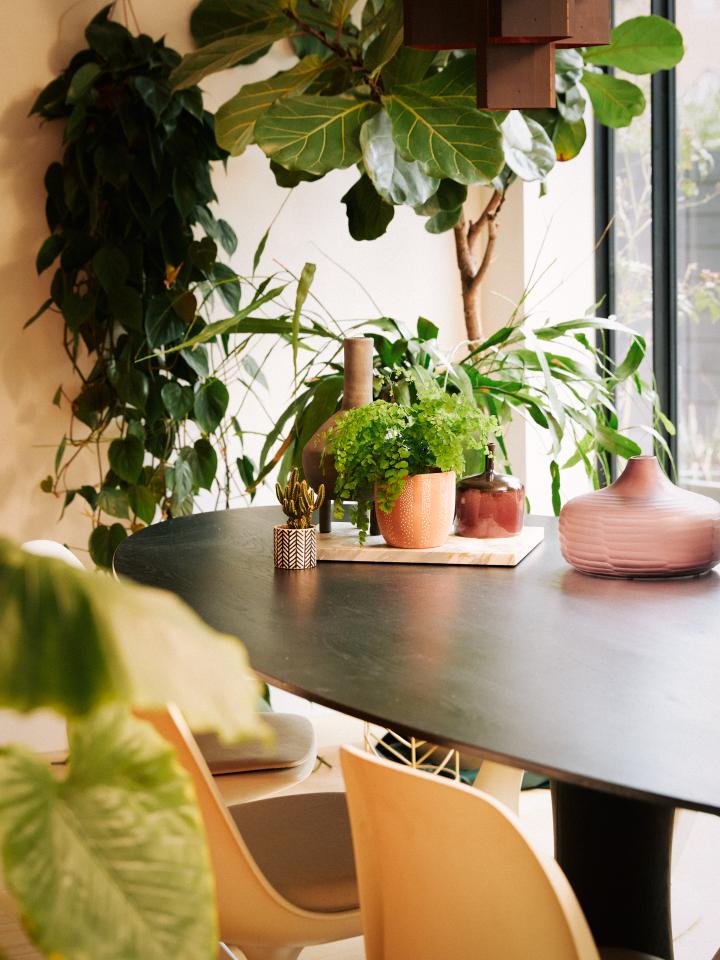 Plant deals dining table